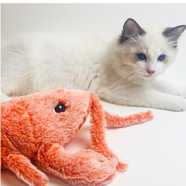 Pet Toys Electric Jumping Shrimp USB Charging Simulation Lobster Funny Cat Plush Pets Toy - Image 6