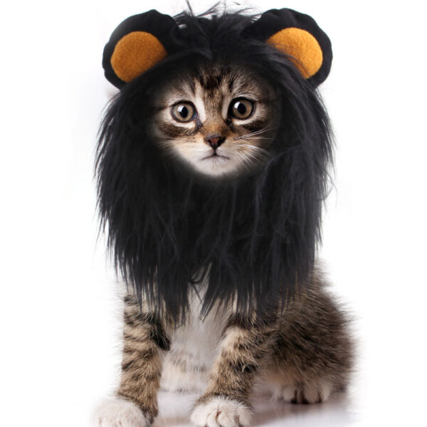 Cat Headgear Funny Dress Up, Cat Clothing Lion Headgear