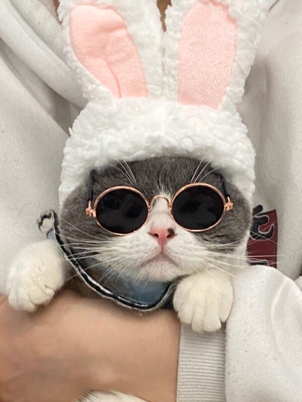 Cat Sunglasses Cute Funny Cat Photo Props Free Shipping - Image 4