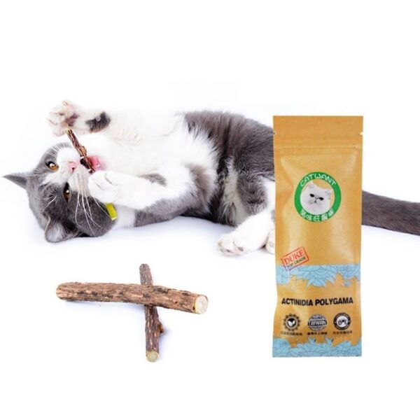 Cat Catnip Chew Stick for Healthy Teeth - Free Shipping