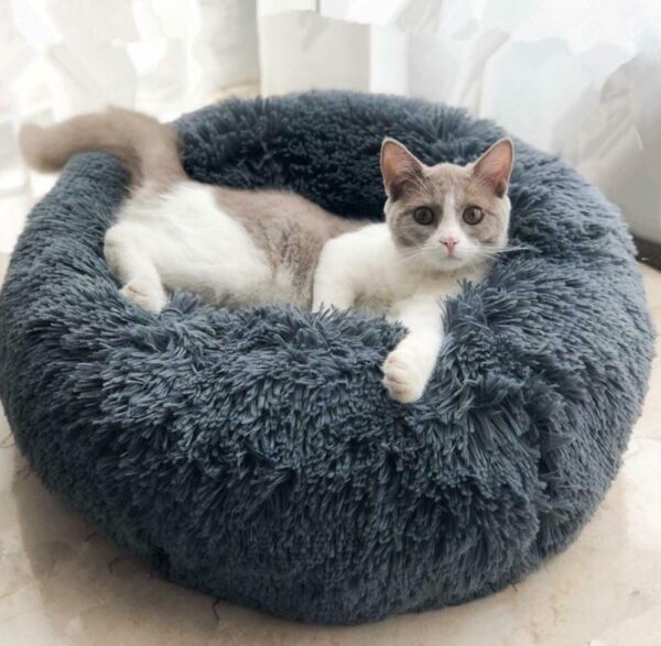 Cat Beds For Small Dogs Round Plush Cat Litter Kennel Pet Nest Mat Puppy Beds