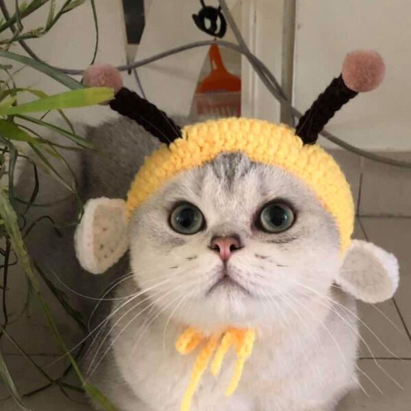 Cute Little Bee Headgear Cat Wool Knitted Hat -Free Shipping