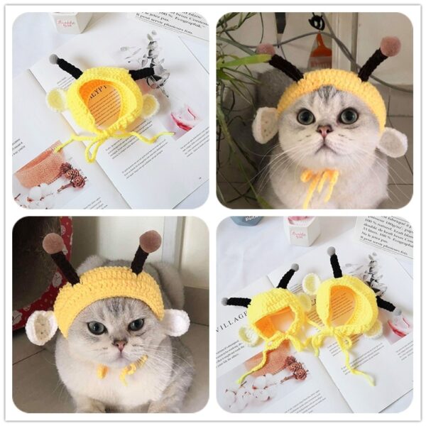 Cute Little Bee Headgear Cat Wool Knitted Hat -Free Shipping - Image 3