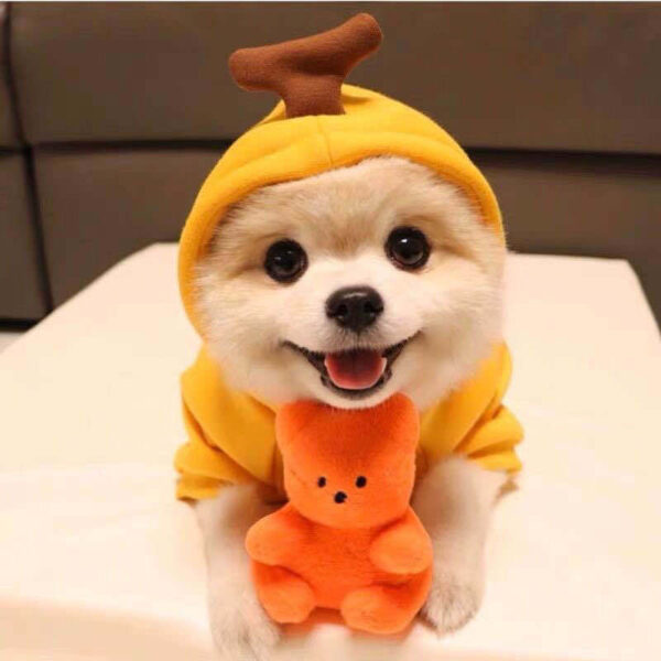 Cute Fruit Clothes For Small Dogs Hoodies Winter Warm Fleece Pet Clothing Puppy Cat Costume Coat For French Chihuahua Outfit - Image 5