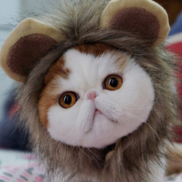 Lion Headgear Cute Feline Transformation - Free Shipping - Image 4