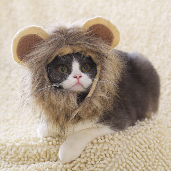 Lion Headgear Cute Feline Transformation - Free Shipping