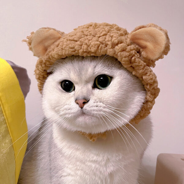 Cat Decoration Cat Hat Personality Creative Headgear