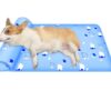 Summer Cooling Cat Mat With Pillow For Cat Dog Breathable Ice Pad Washable Sofa Breathable Print Cooling Pet Bed - Image 2