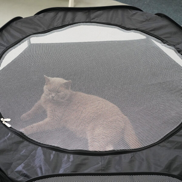 Cat Pet Removable Foldable Comfortable Touch Multifunctional Not Taking Up Space Cat Tunnel Not Stained With Hair Cat Supplies - Image 9