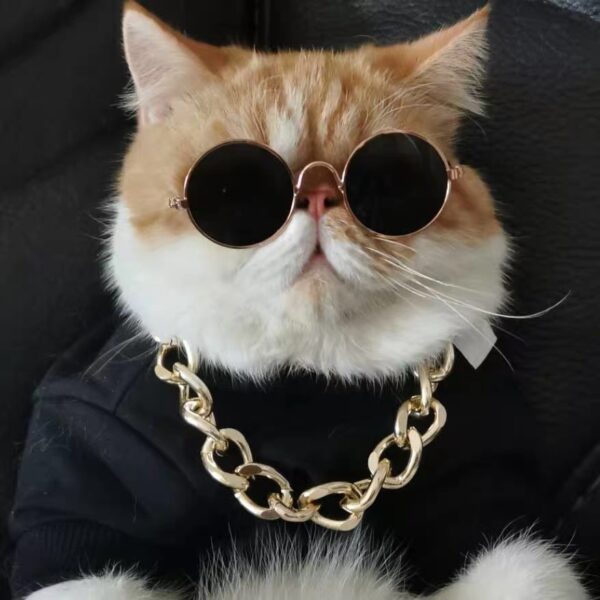 Cat Sunglasses Cute Funny Cat Photo Props Free Shipping