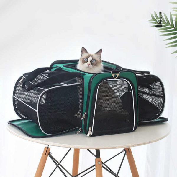 Cat Go Out Backpack Portable Space Capsule Large Capacity Shoulder Pets