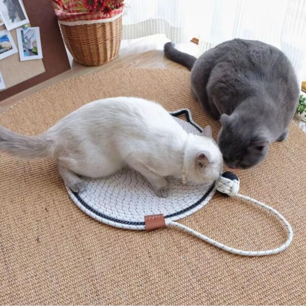 Braided Cotton Rope Cat Claw Mat Self Hi Ball One Piece Sleeping Mat Washable Anti Sticky Scratching Artifact Cat Scratching Mat Pet Products - Image 10