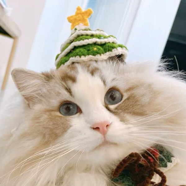 Cat Christmas Handmade Woolen Hat Pet Hat - Image 2