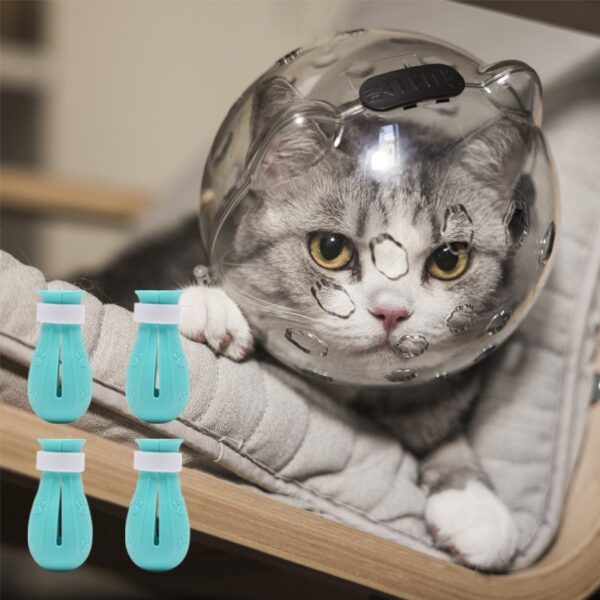 White Collar Anti-bite Bath Nail Scissors Anti-scratch Anti-licking Pet Artifact Cat Head Cover - Image 8