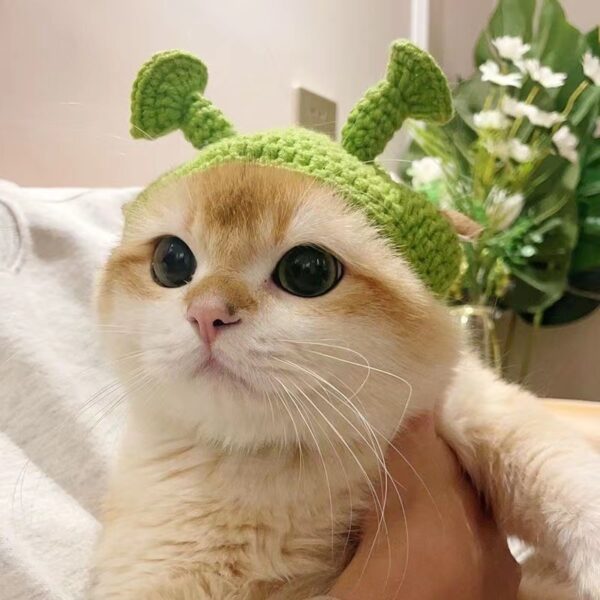 Cat Handmade Knitted Hat Feline Decoration Accessories