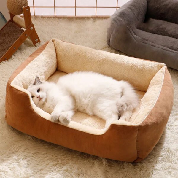 Bed For Cats Pet Products Warm Cushions Kitten Goods Accessories Dog All Beds And Furniture Things Accessory Habitats House Beds - Image 6