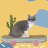 Vertical Cat Scratching Board Climbing Frame Nest Toys Do Not Fall Off - Image 6