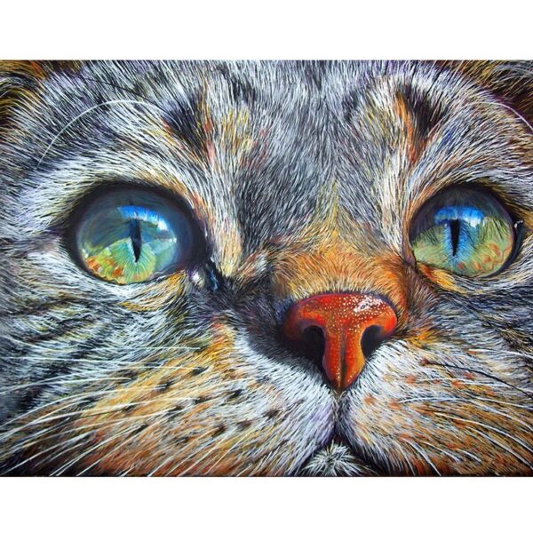 Cat Face Full Drill Square Diamond 5D DIY Diamond Painting