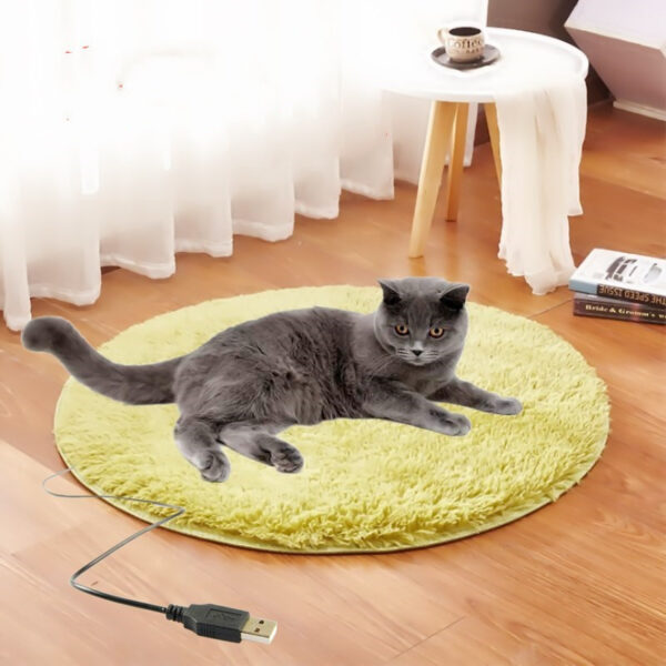 Cat Pet Thermostatic Waterproof Electric Plush Blanket