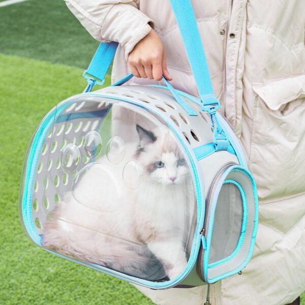 Cat & Kitten Transparent Bag Space Capsule Backpack - Image 5