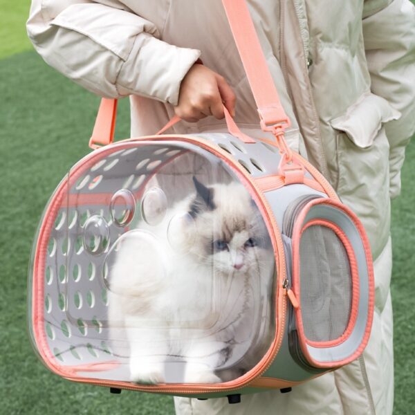 Cat & Kitten Transparent Bag Space Capsule Backpack - Image 7