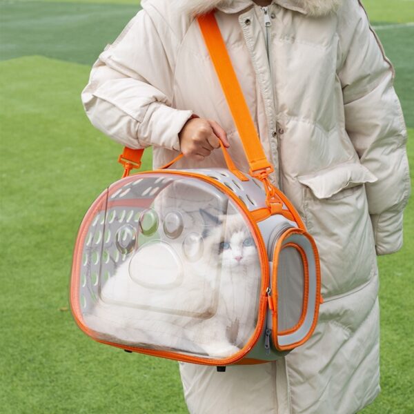 Cat & Kitten Transparent Bag Space Capsule Backpack - Image 3