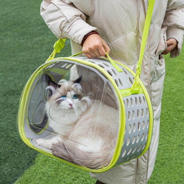 Cat & Kitten Transparent Bag Space Capsule Backpack